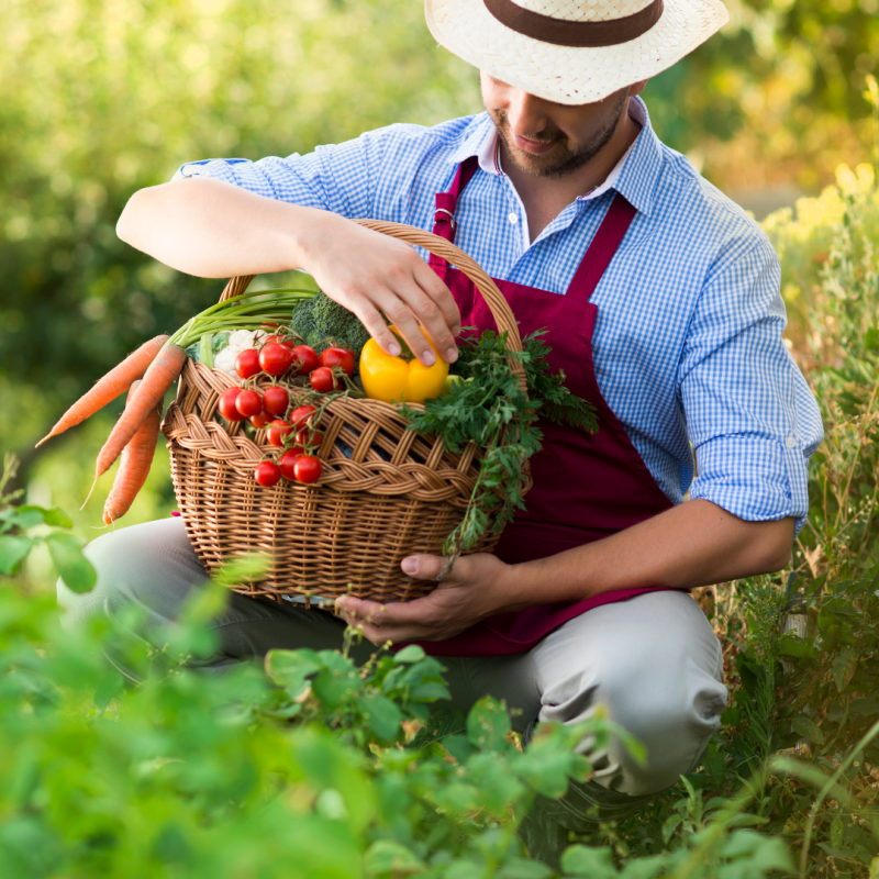 Le circuit court, un jardinier avec son panier plein de fruits et légumes