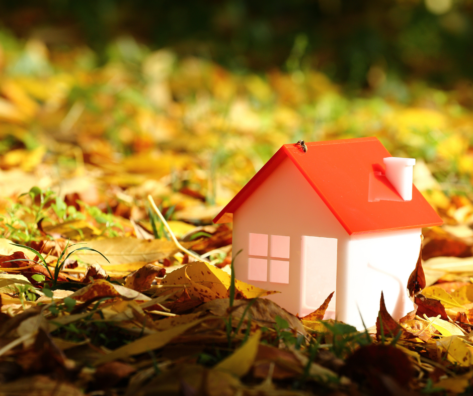 petite maison dans les feuille réduire votre emprunt écologique