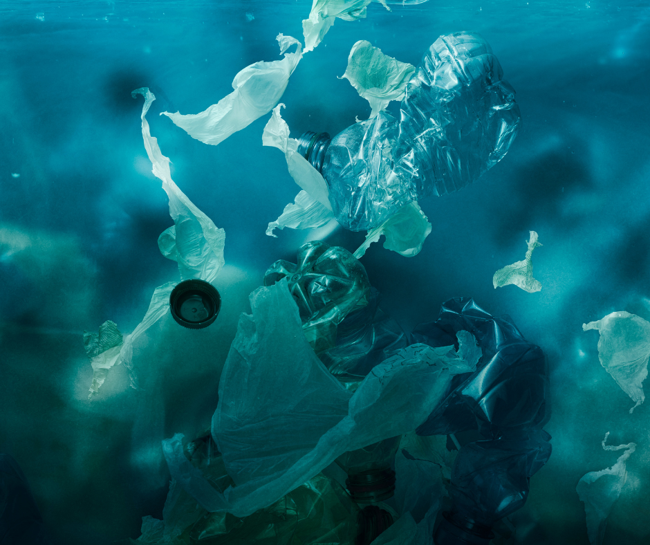 déchets plastiques dans l'océan